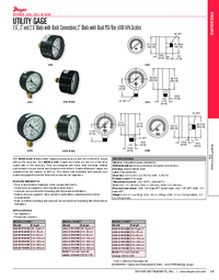Thumbnail of document Data Sheet - UGI Utility Gage